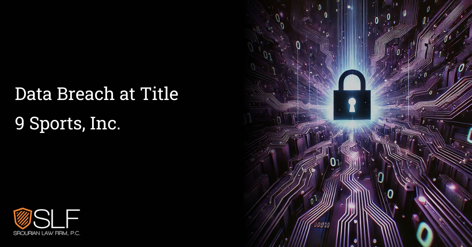 Data Breach at Title 9 Sports, Inc.