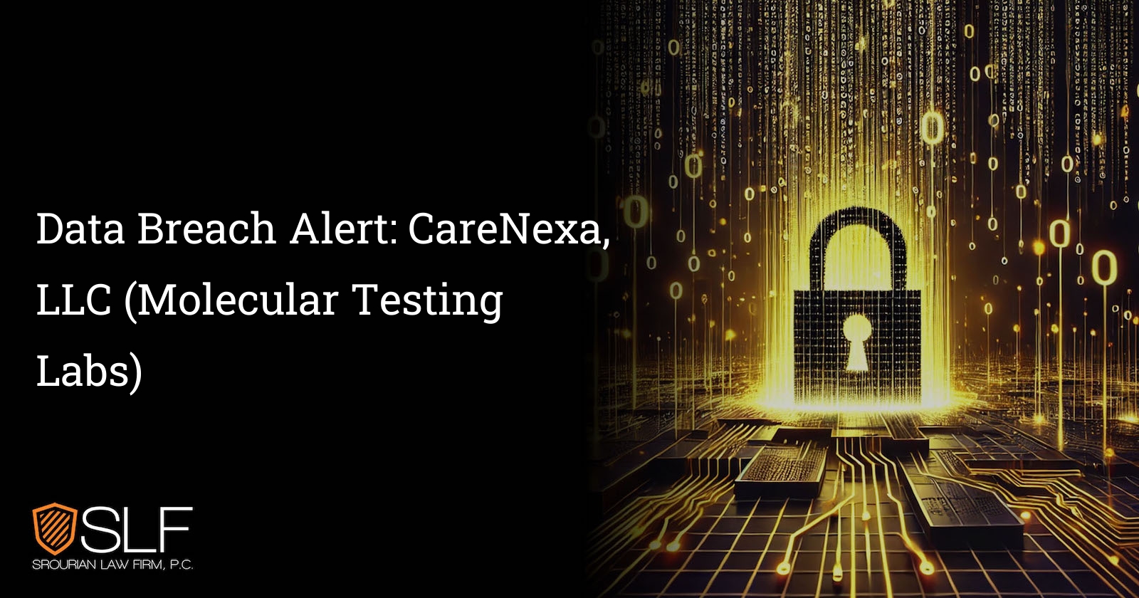 Data Breach Alert: CareNexa, LLC (Molecular Testing Labs)