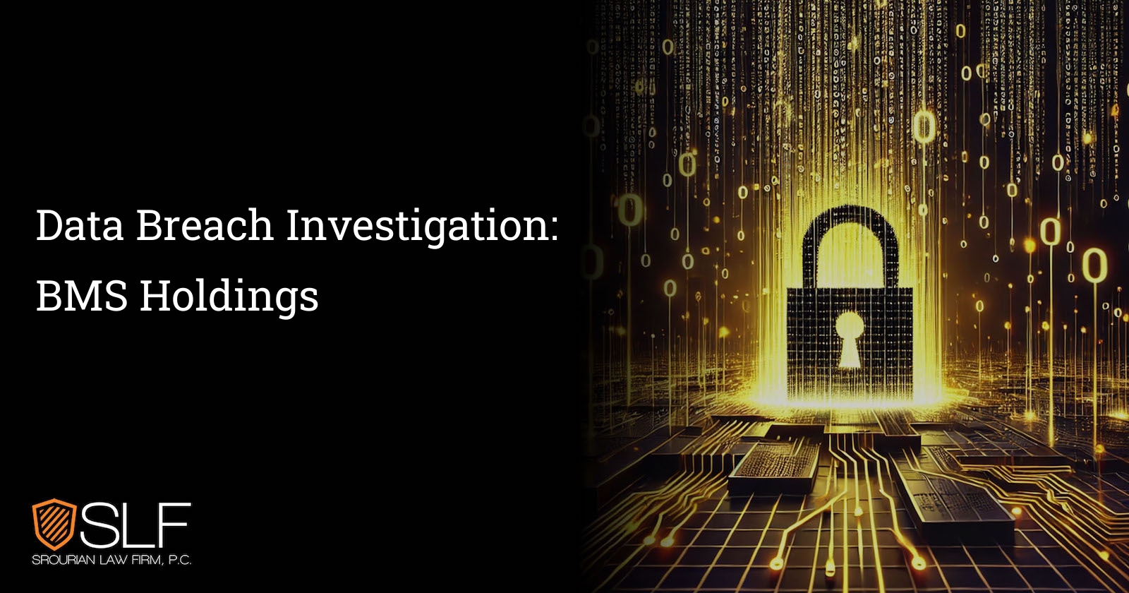 Data Breach Investigation: BMS Holdings
