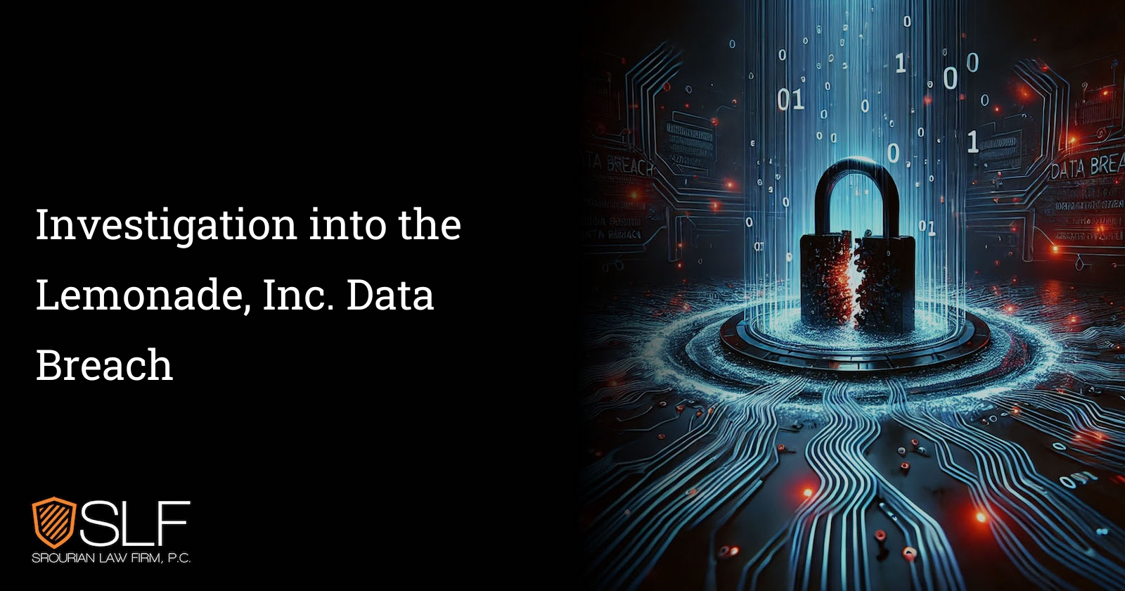 Investigation into the Lemonade, Inc. Data Breach