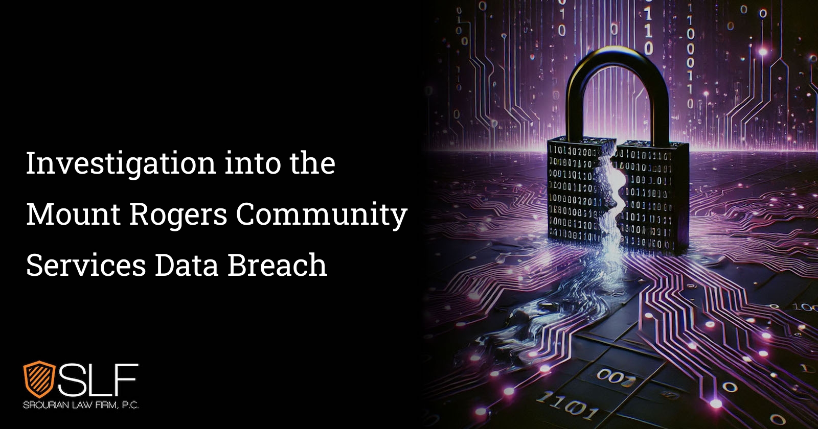 Investigation into the Mount Rogers Community Services Data Breach