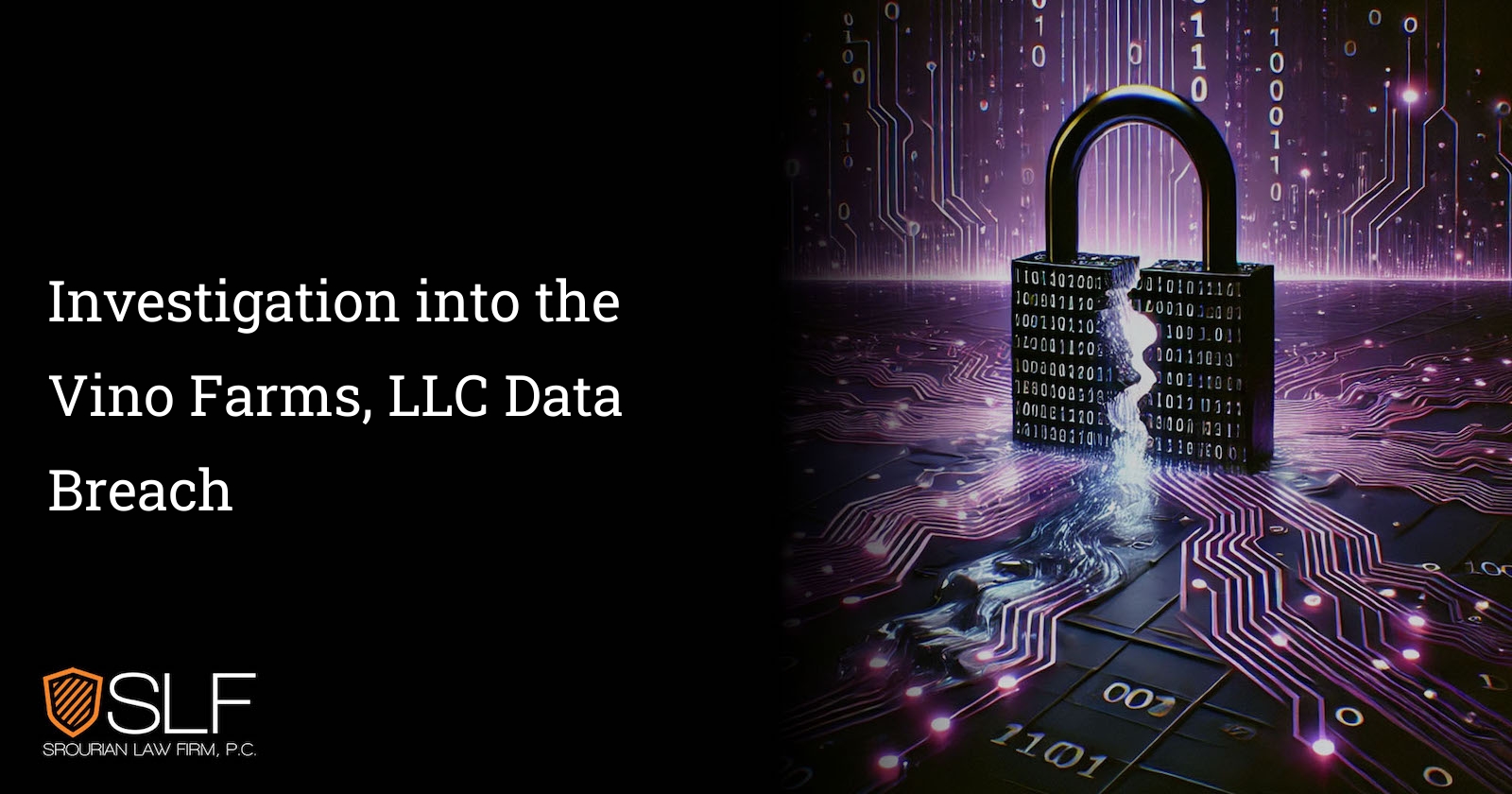 Investigation into the Vino Farms, LLC Data Breach