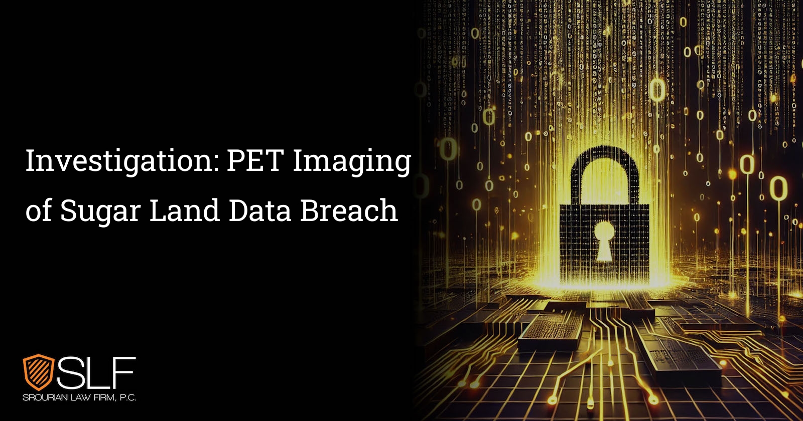 Investigation: PET Imaging of Sugar Land Data Breach
