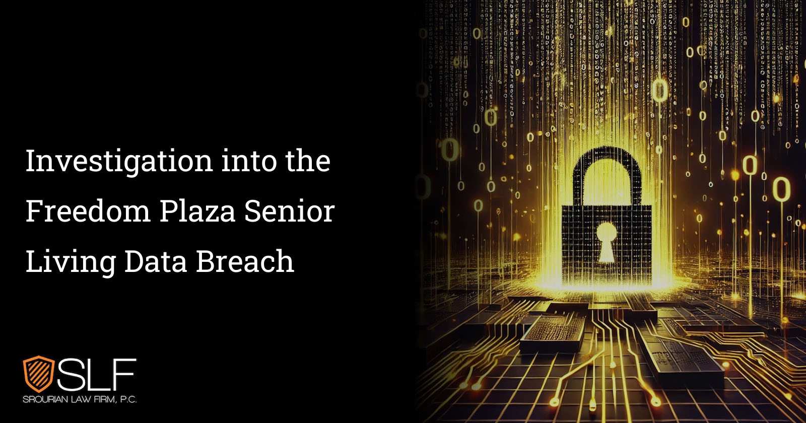 Investigation into the Freedom Plaza Senior Living Data Breach