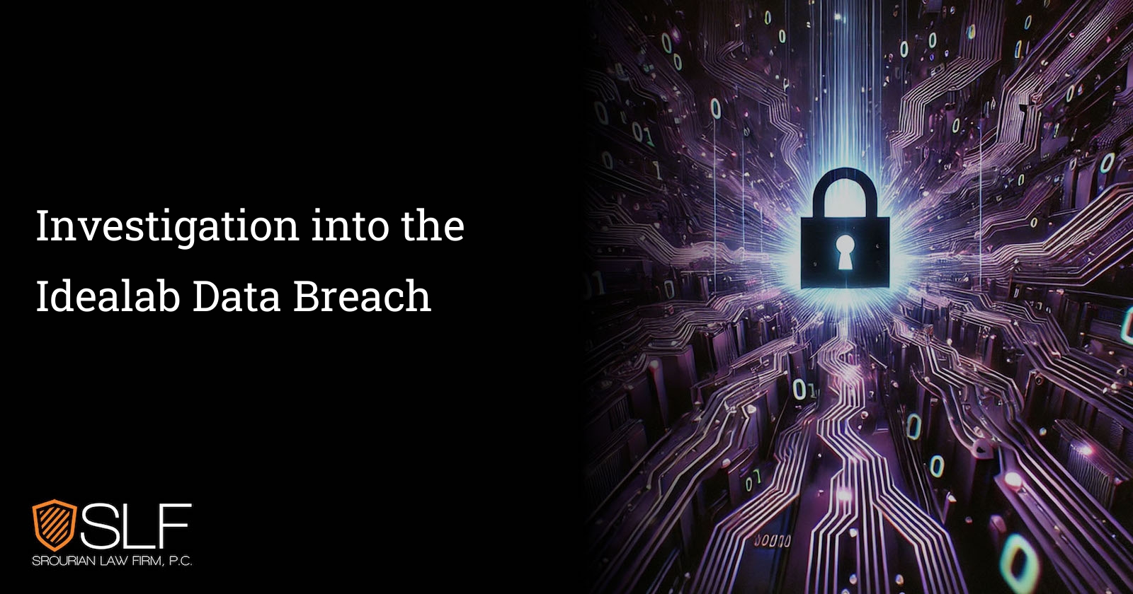 Investigation into the Idealab Data Breach