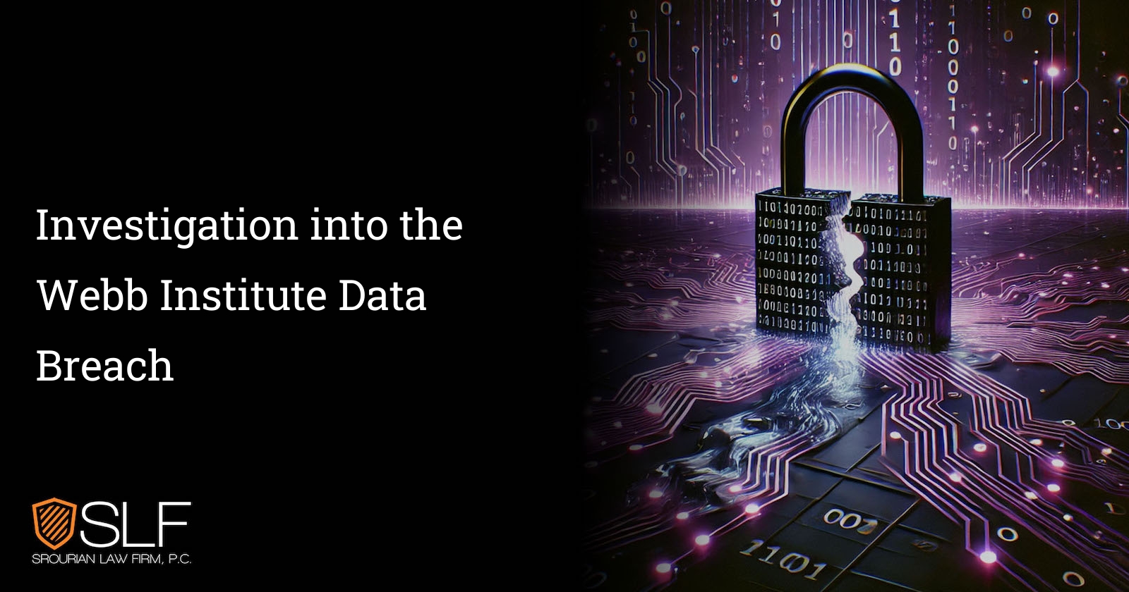 Investigation into the Webb Institute Data Breach