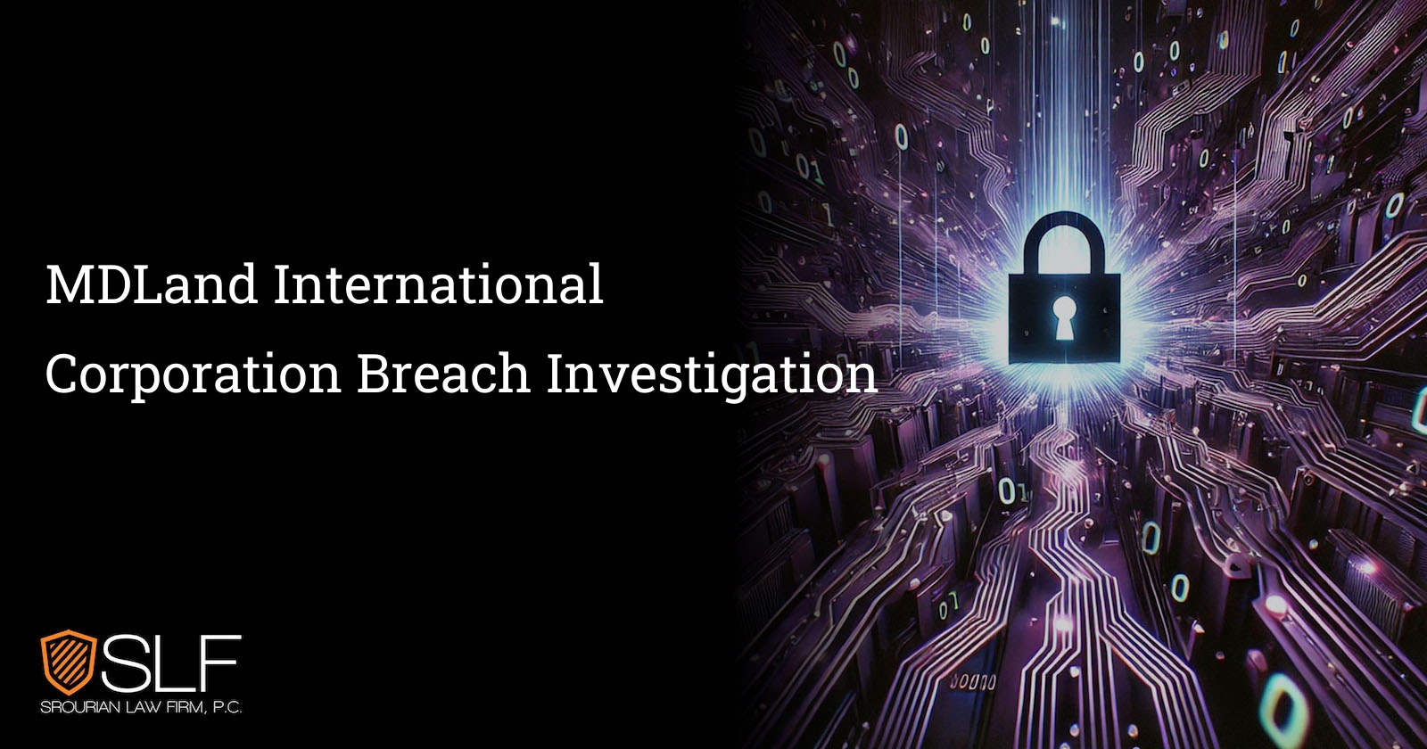 MDLand International Corporation Breach Investigation